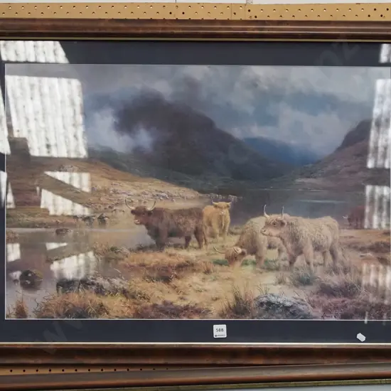 framed Highland Cattle print