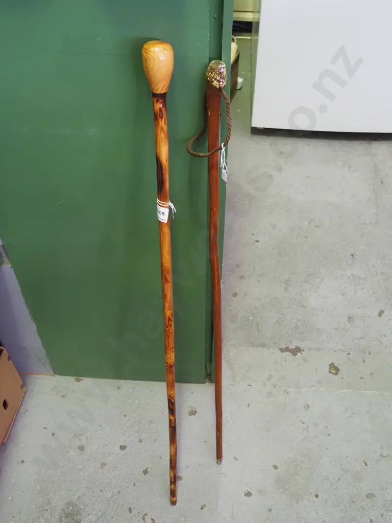 2x walking sticks Image 1++
