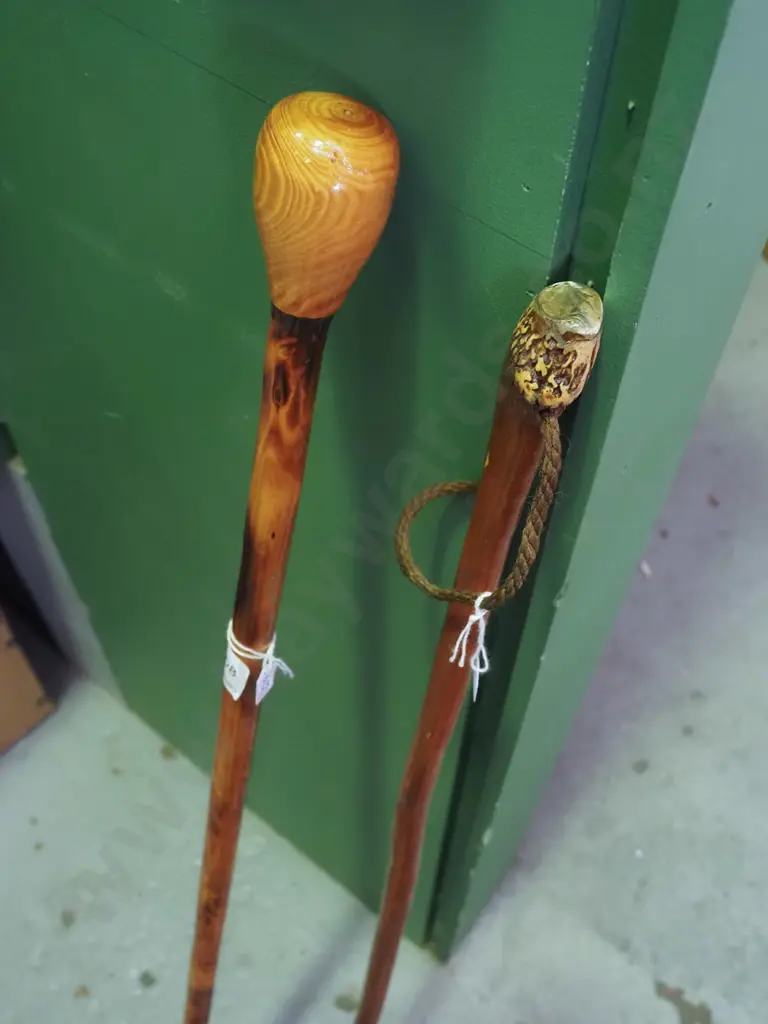 2x walking sticks Image 1++
