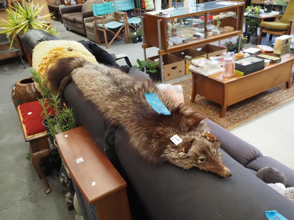 fur stole Image 1++