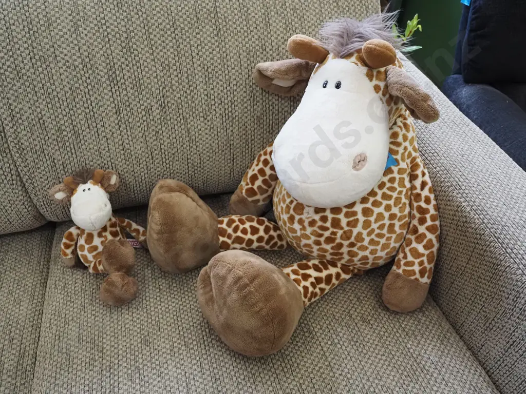 soft toys; giraffes Image 1++