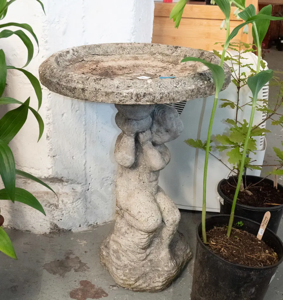 figural based concrete bird bath H570 Diam440 Image 1++