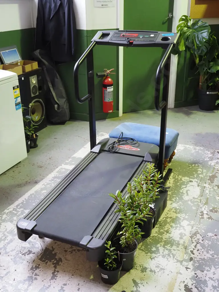 Cadence T310 treadmill with step down transformer Image 1++