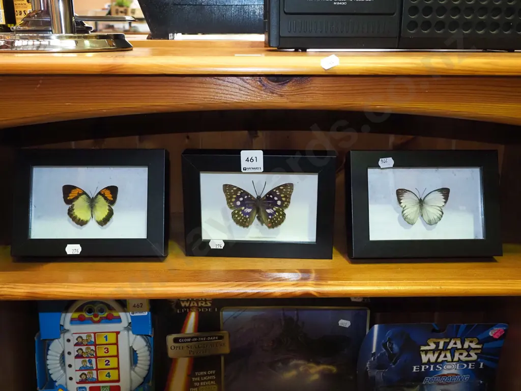 3x framed butterflies Image 1++