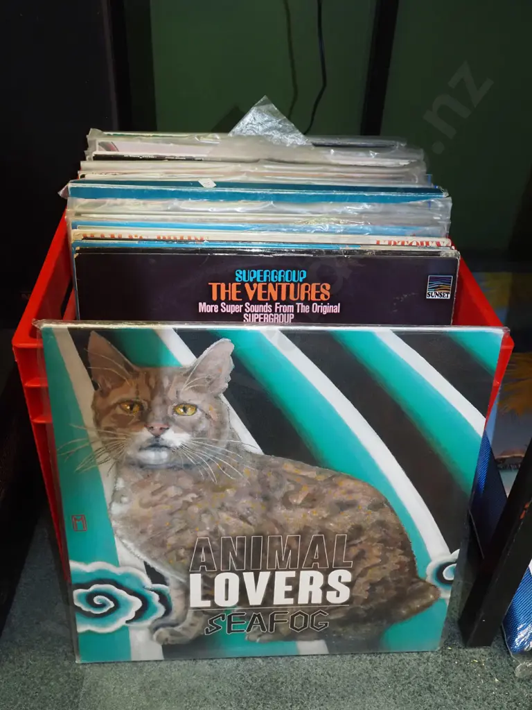 plastic crate of LPs Image 1++