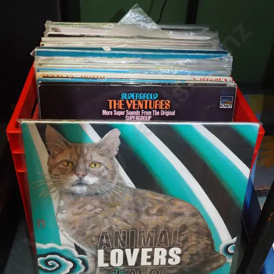 plastic crate of LPs
