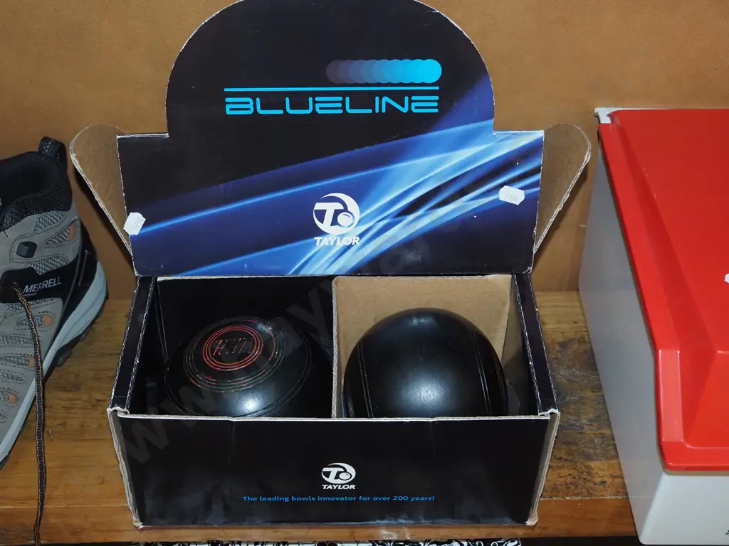 set of 4 Taylor Blueline lawn bowls Image 1++