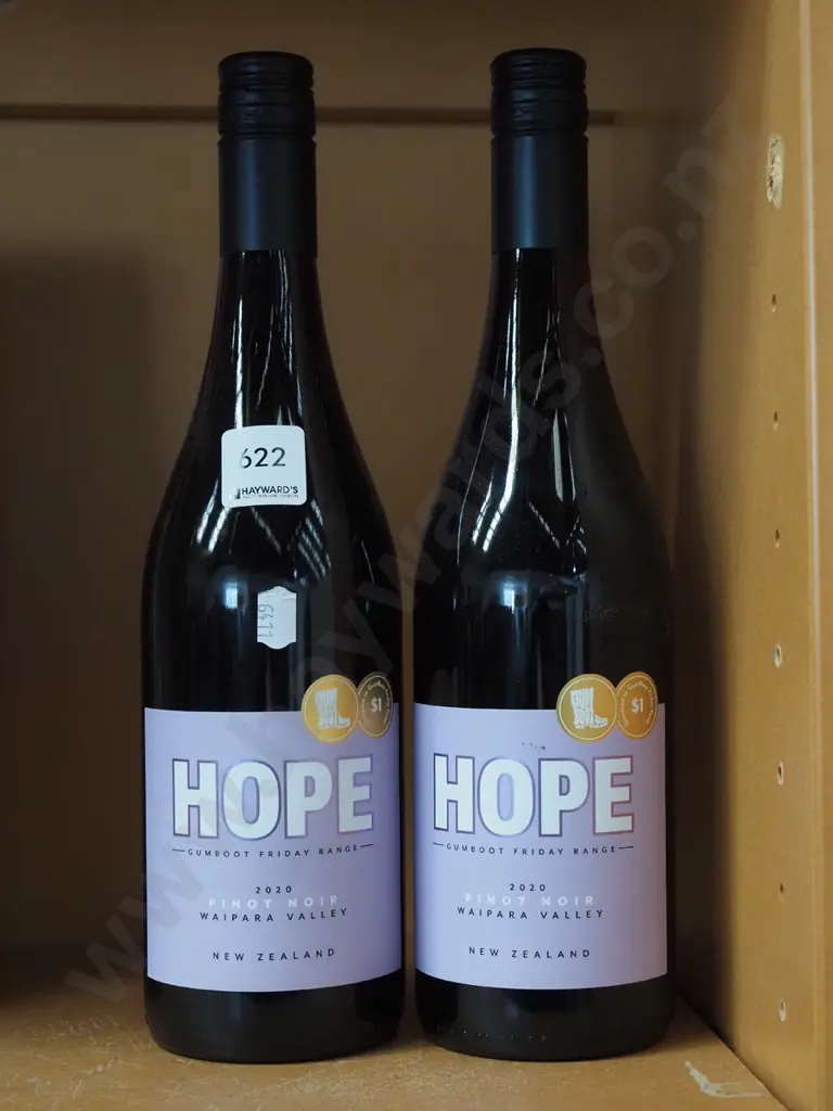 2x bottles Hope Gumboot Friday pinot noir 2020 Image 1++