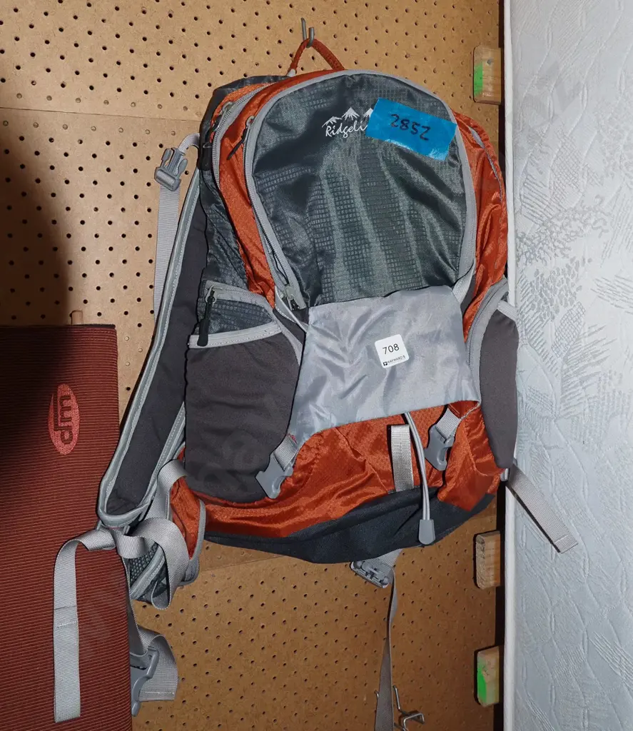 small Ridgeline back pack Image 1++