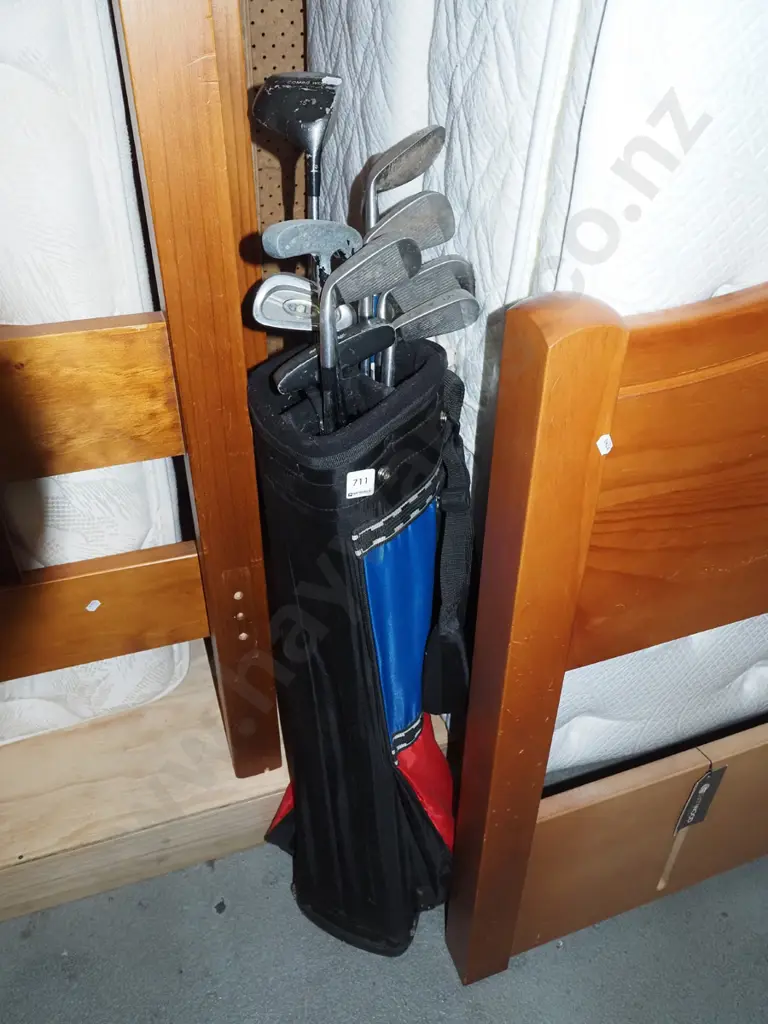 golf bag and clubs Image 1++