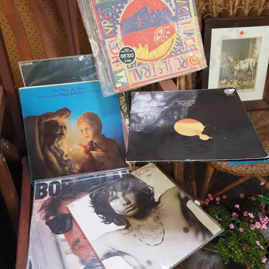 LPs; The Doors, Bob Dylan etc