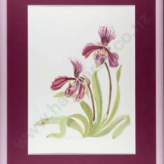 Margaret A Howard - framed watercolour - orchids H-390 W-270