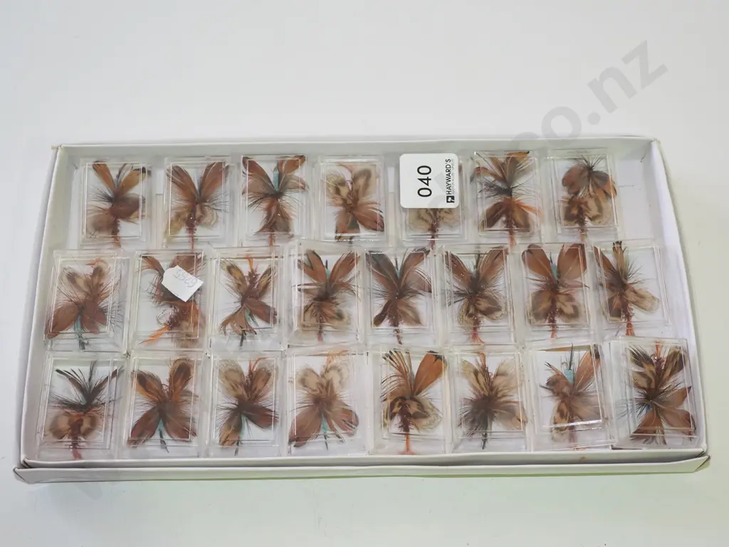 tray of various fly fishing flies Image 1++