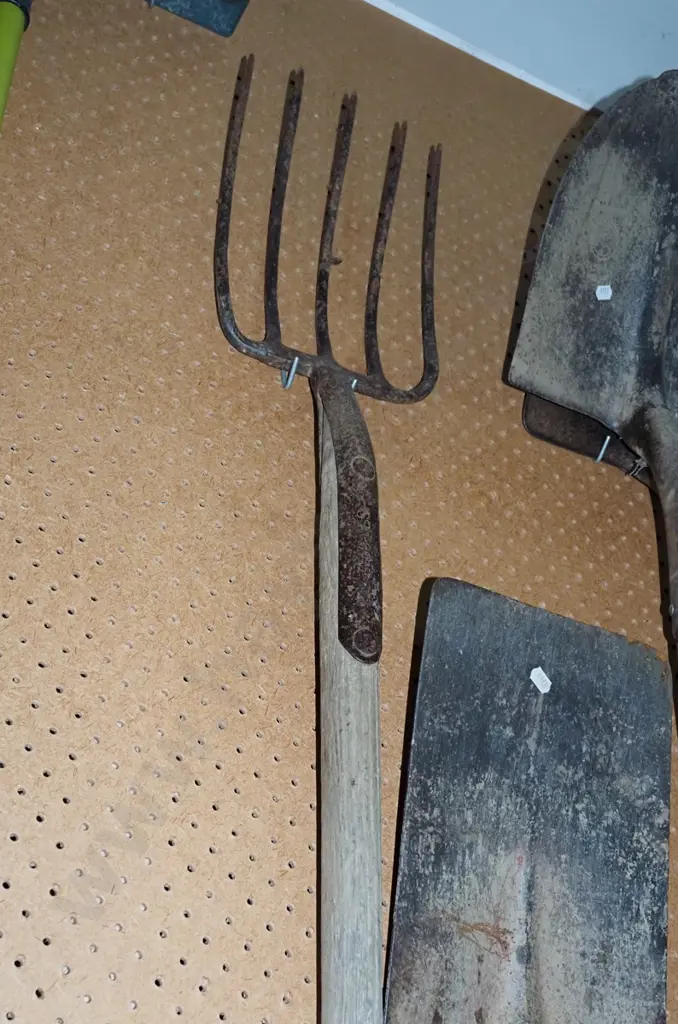 pitch fork Image 1++