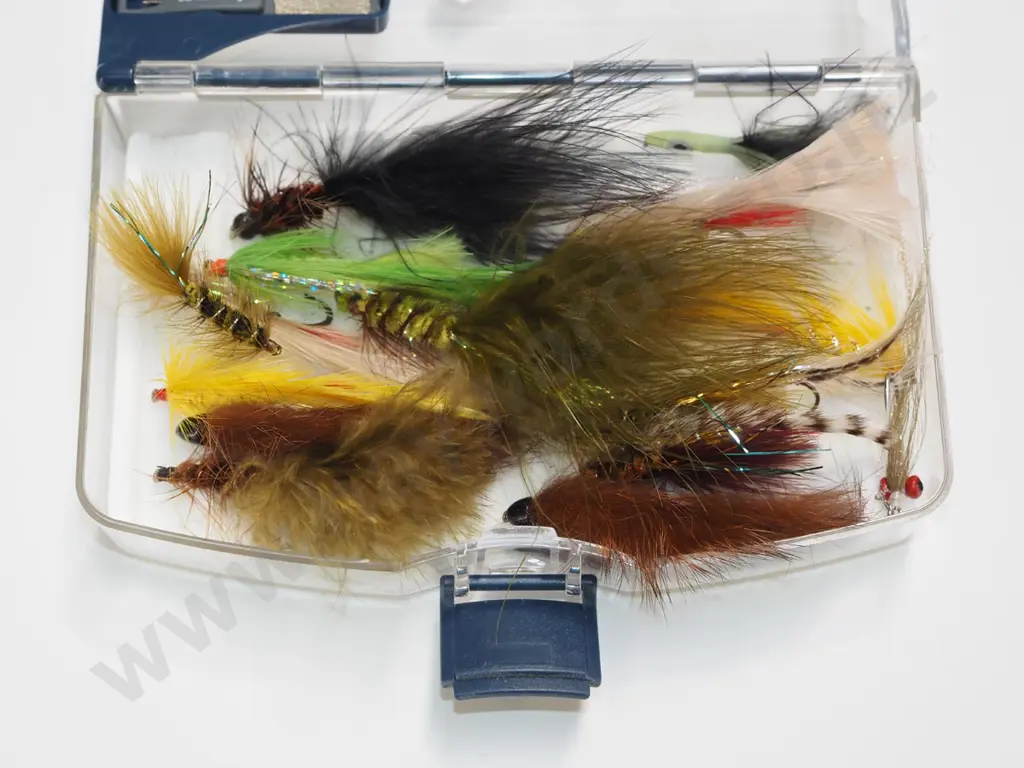cased fly fishing lures Image 1++