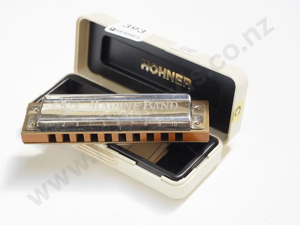 cased  Hohner marine band harmonica Image 1++