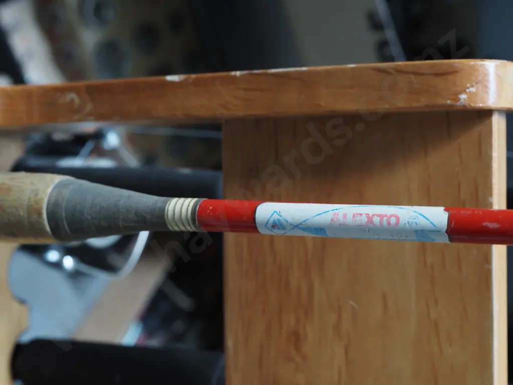 2x fishing  rods and reels - blue dots Image 1++