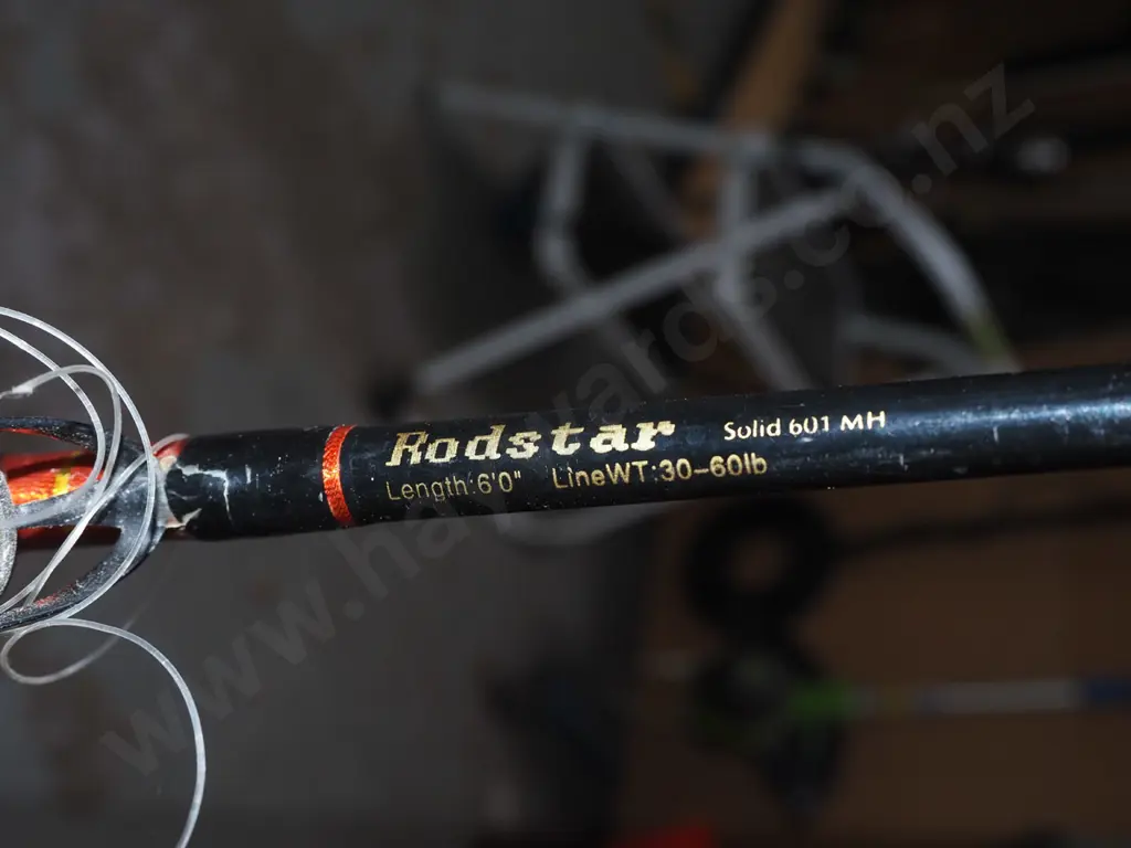 fishing rod and reel Image 1++