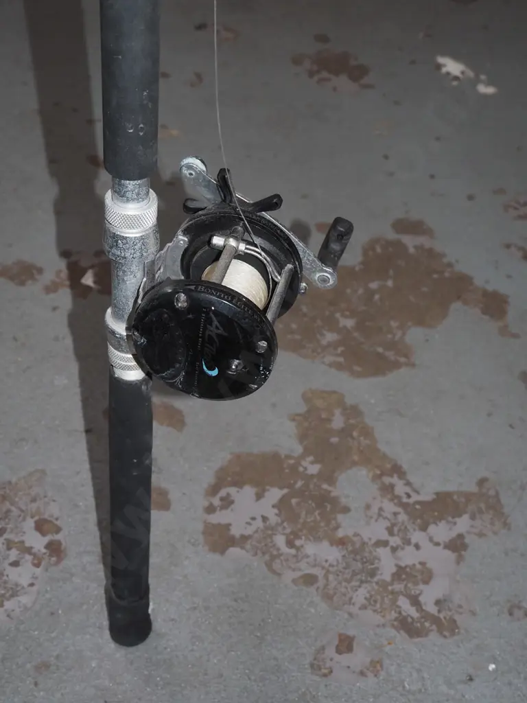 fishing rod and reel Image 1++