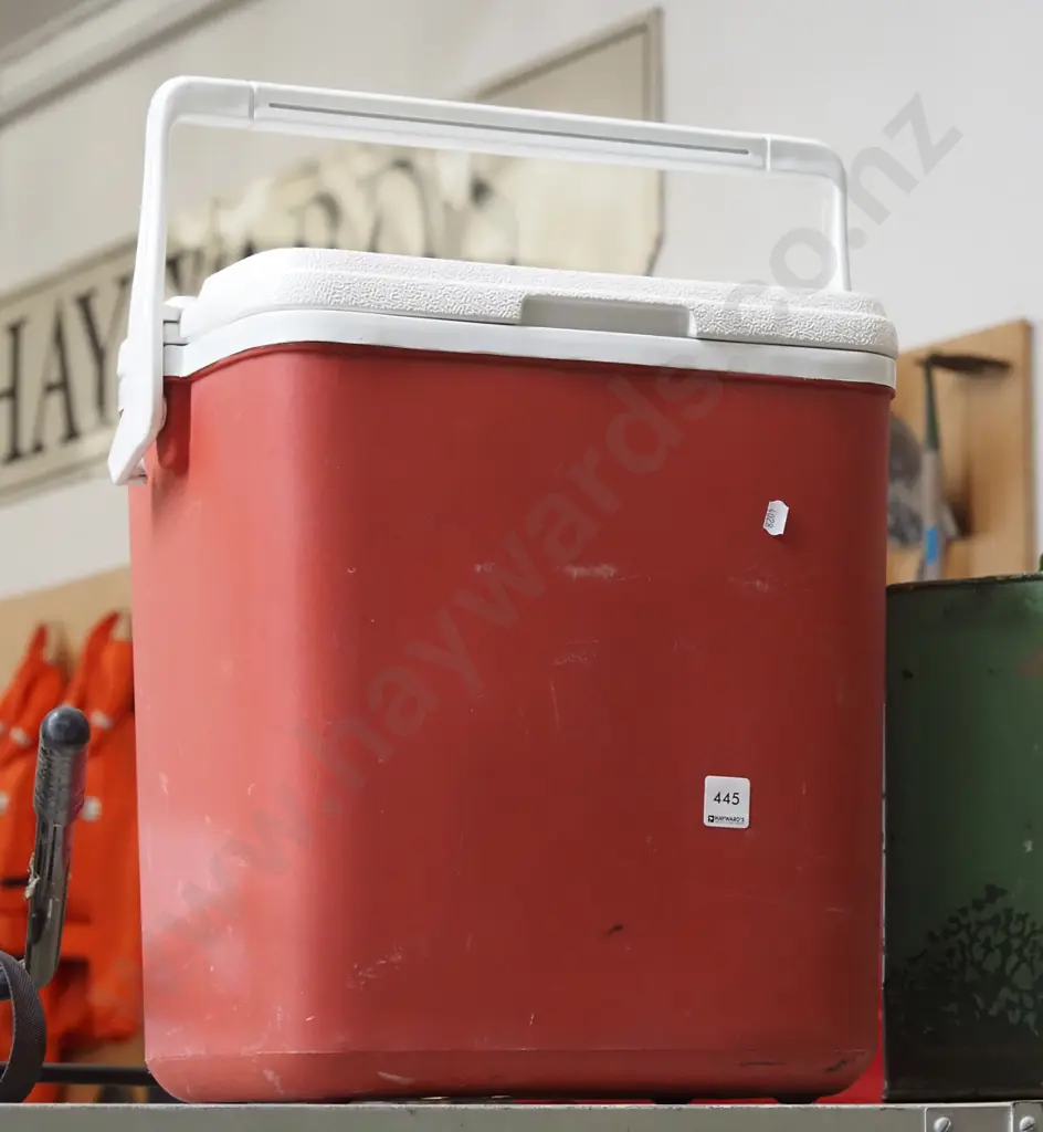 chilly bin Image 1++