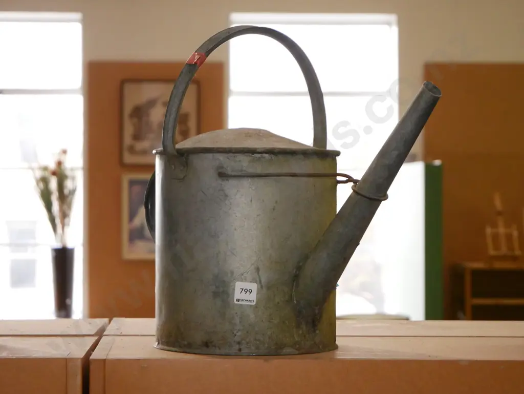 galvanised watering can - no rose Image 1++