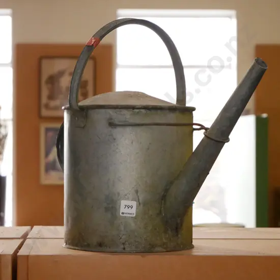 galvanised watering can - no rose