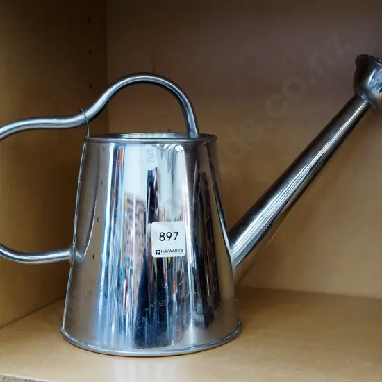 small stainless steel watering can
