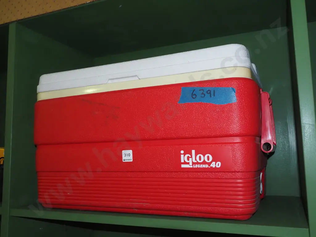 Igloo chilly bin Image 1++