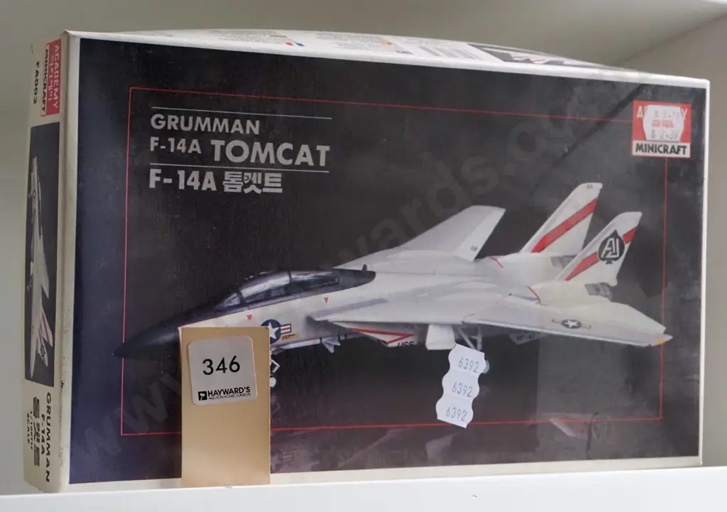 yet to be assembled model of a Tomcat Image 1++