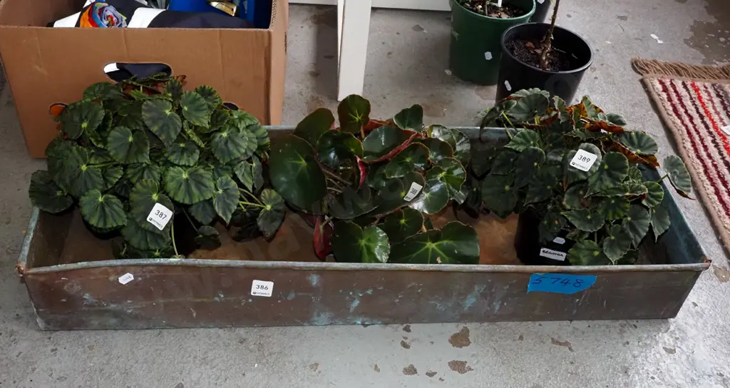 copper garden planter trough L840 Image 1++