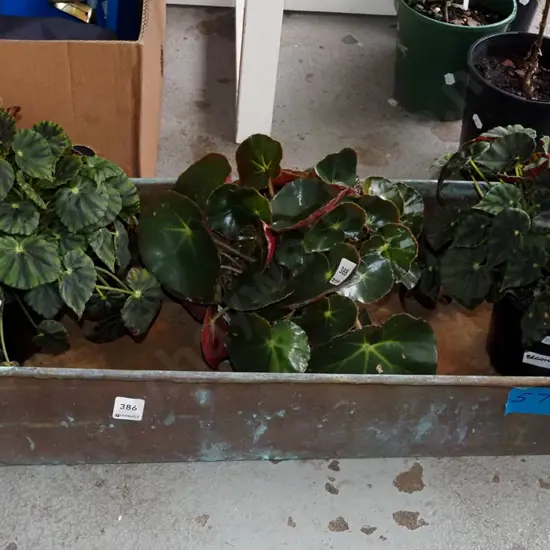 copper garden planter trough L840