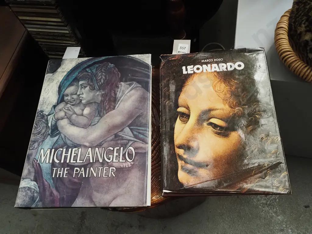 2x art books Image 1++