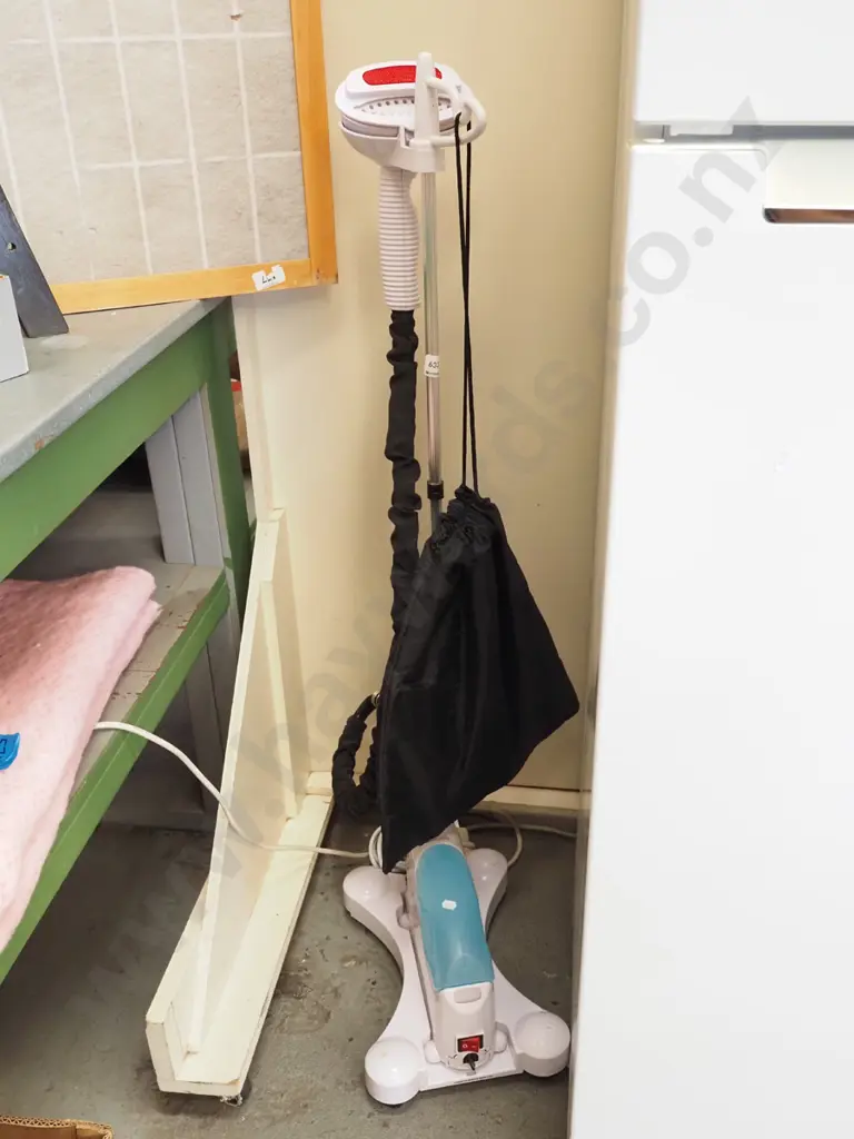 Tobi clothes steamer Image 1++