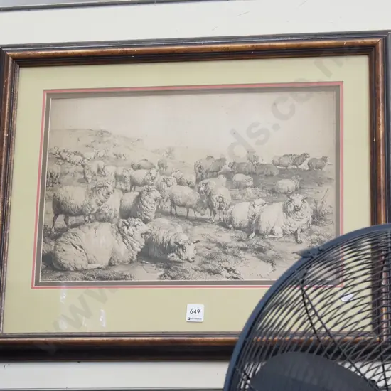 framed print - sheep - foxing