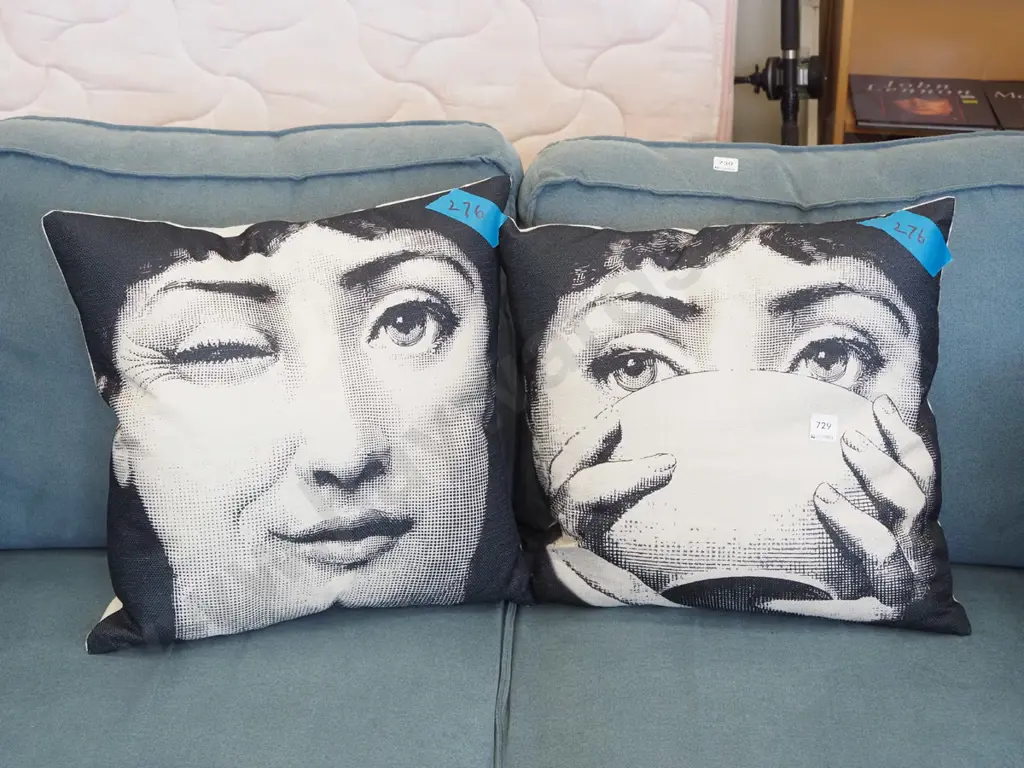 2x cushions Image 1++
