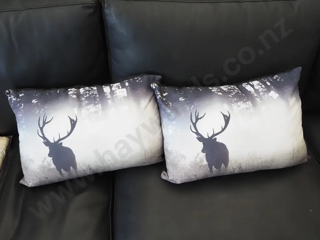 2x cushions  Image 1++