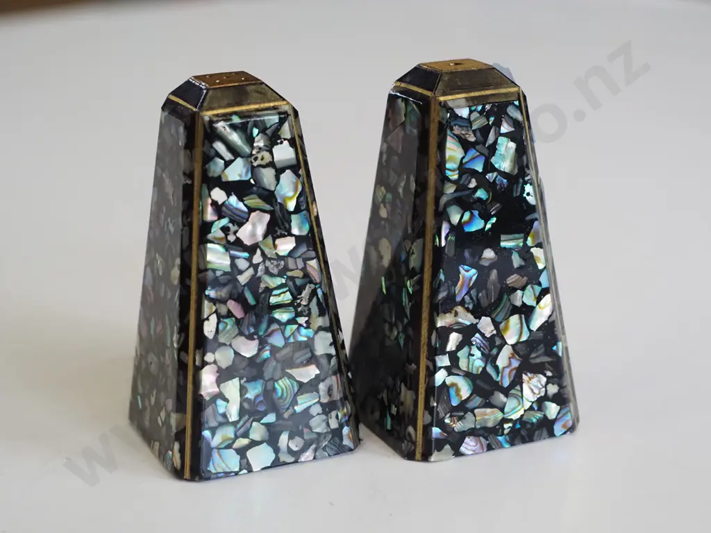 NZ souvenir paua salt and pepper Image 1++