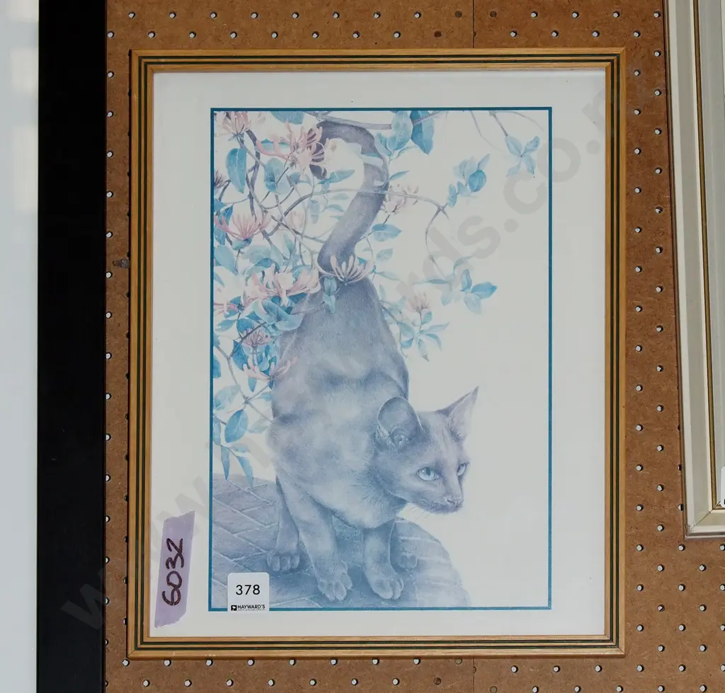 framed print - cat Image 1++