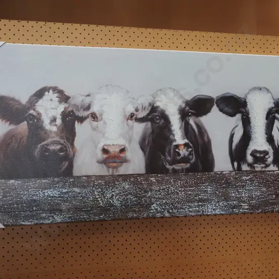 print/oil on boxed canvas - cows