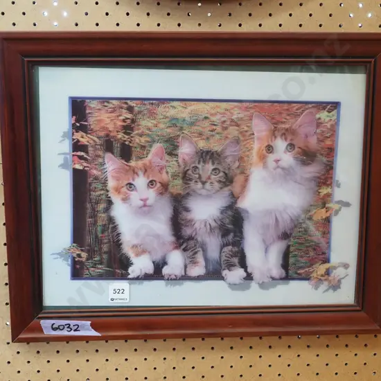 framed holographic print