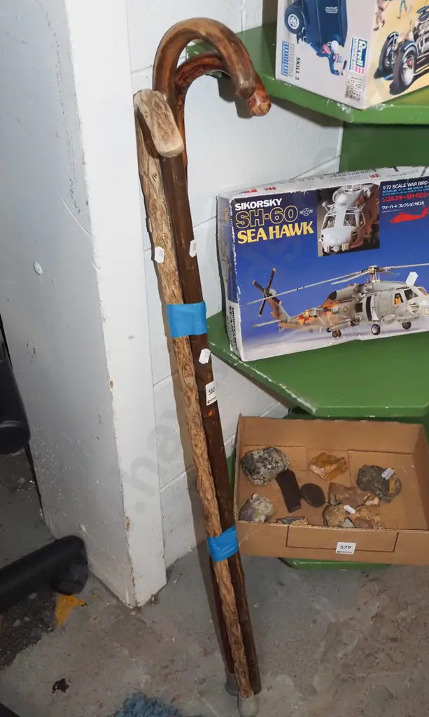 3x walking sticks Image 1++