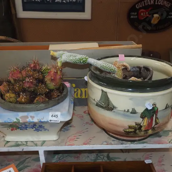 2x cacti - 1 in jardiniere - Royal Doulton jardinere has repair