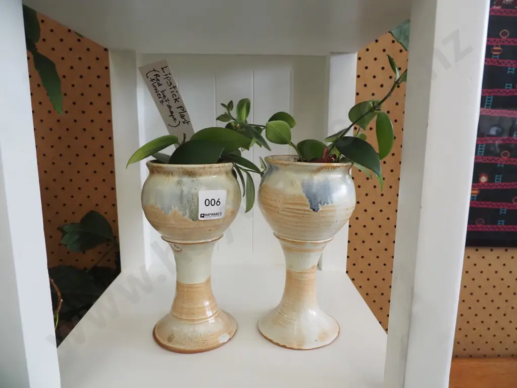 2x lipsticks plants in studio pottery goblets Image 1++