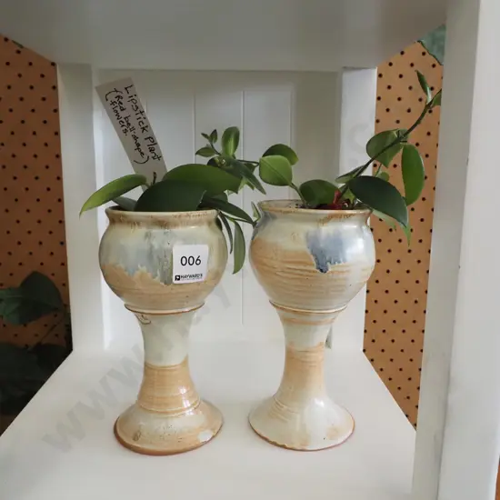 2x lipsticks plants in studio pottery goblets