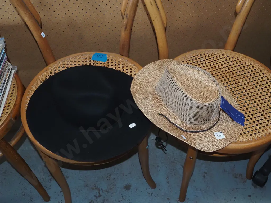 2x as new hats Image 1++