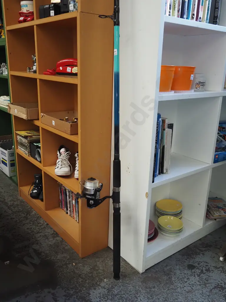 surfcaster rod and reel Image 1++