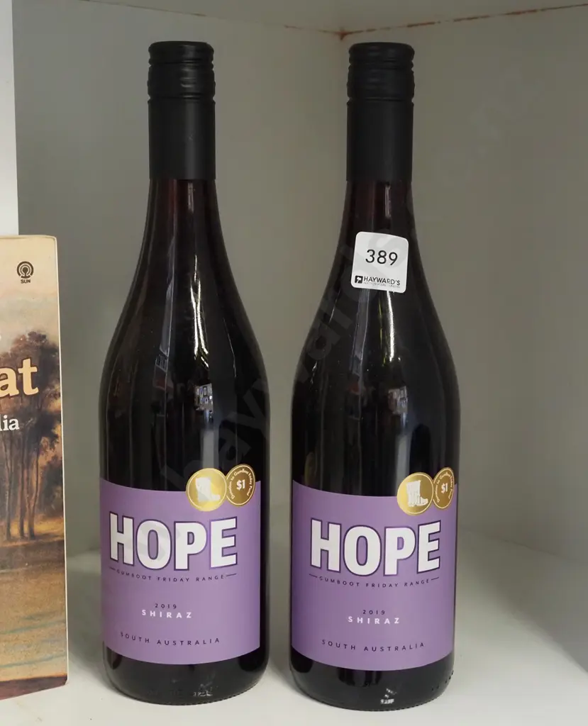 2x bottles I Am Hope 2019 shiraz Image 1++