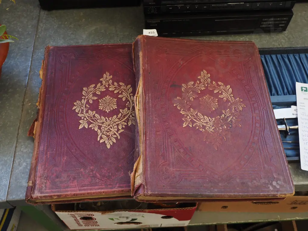 2x vintage editions of Animated Nature Image 1++