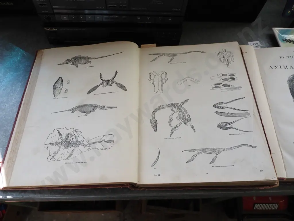 2x vintage editions of Animated Nature Image 1++