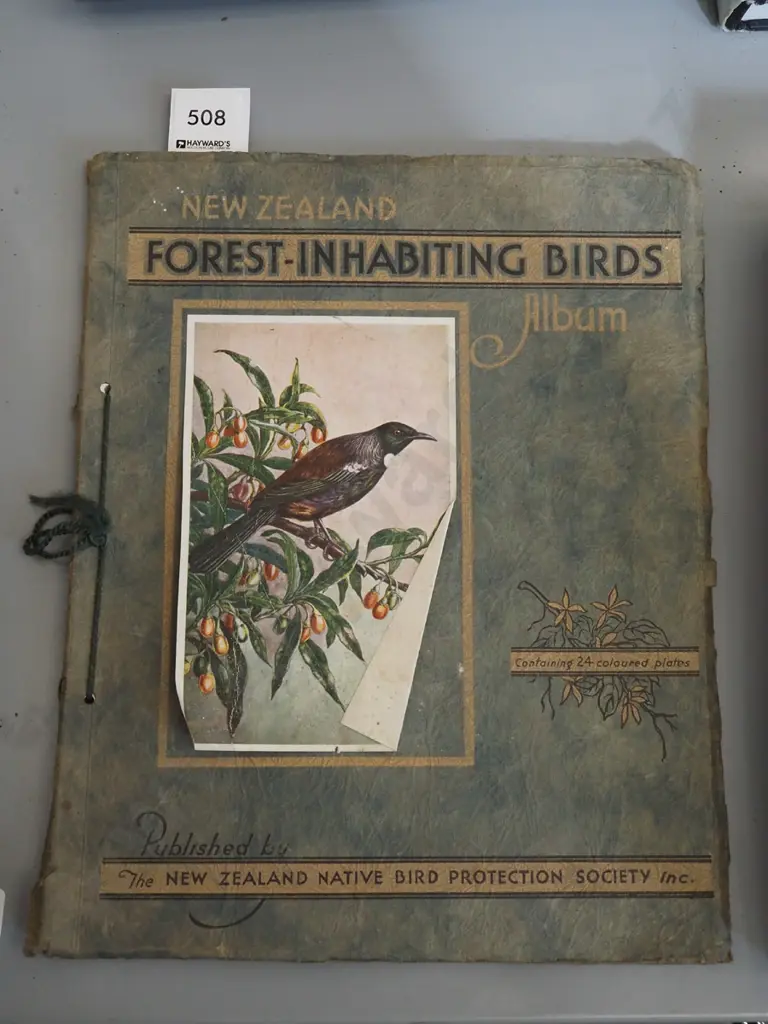 vintage NZ Forest Inhabiting Birds album Image 1++